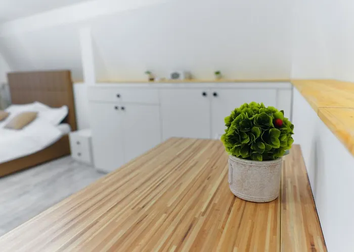 Bella House Lejlighedshotel Craiova